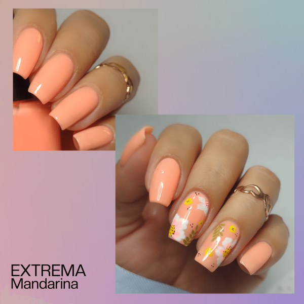 Dic-1-color-teraphy-collection (8)